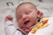 2012-02-19-15-26-49_DSC4101