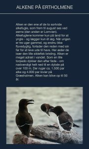 Alkene på ertholmene.